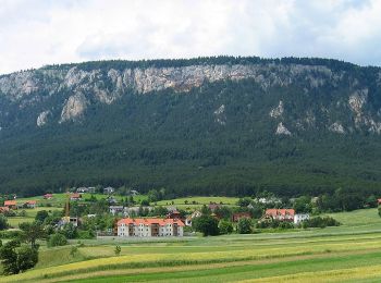 Randonnée A pied Gemeinde Höflein an der Hohen Wand - Erlebnisweg 