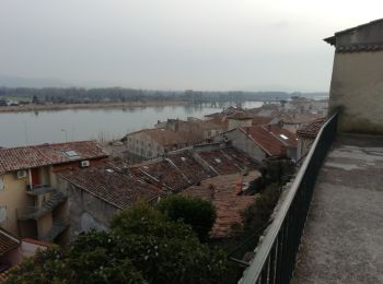 Tour Wandern La Voulte-sur-Rhône - La Voulte ViaRhona 6,5km - Photo