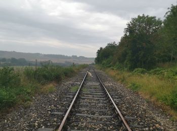 Randonnée Marche Envermeu - envermeu farival les gués de St ouen sous bailly - Photo