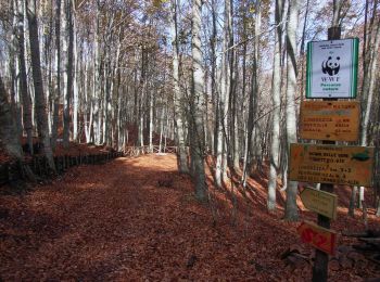 Tocht Te voet Pannarano - Dalla montagna di sotto alla montagna di sopra - Photo