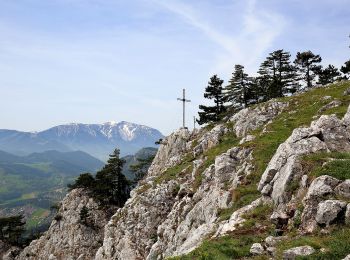 Excursión A pie Gemeinde Hohe Wand - Wandfußsteig - Photo