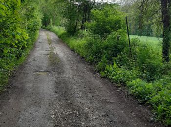 Randonnée Marche Gaillon-sur-Montcient - En passant par Dalibray - Photo