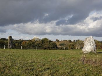 Tour Zu Fuß Le Sel-de-Bretagne - Chemin des Rotes - Photo