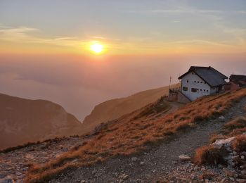 Trail On foot Malcesine - Sentiero delle Creste - Photo