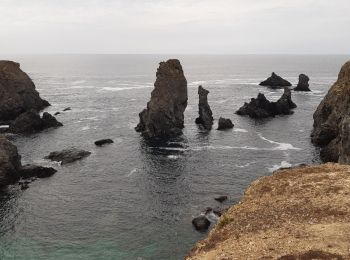 Trail Walking Sauzon - pointe des poulains - Photo