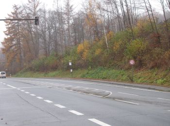 Randonnée A pied Warstein - Warsteiner Weg der Montangeschichte - Photo