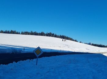 Trail Snowshoes Sainte-Eulalie - les estables sortie 3 - Photo