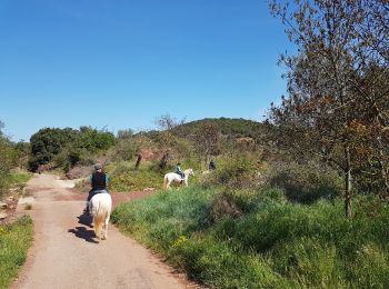 Tocht Stappen Le Bosc - Salelles Mougères Les Combes - Photo