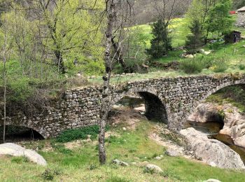 Excursión Senderismo Montpezat-sous-Bauzon - Montpezat sous Bauzon/Le Villaret - Malfaugéres - Photo