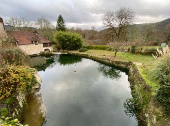 Tocht Stappen Larnagol - Larnagol le bout du monde  - Photo