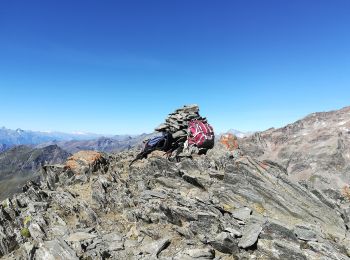 Tour Zu Fuß Gressoney-La-Trinité - Gabiet-Orestes Hutte-Colle Salza - Photo