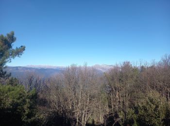 Trail Walking Sanremo - Monte Caggio 25.12.24 - Photo