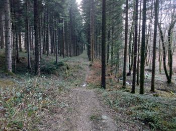 Tour Wandern Gézier-et-Fontenelay - rando gezier - Photo