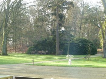 Tour Zu Fuß Rheden - Dwars door Gelderland (16) - Photo
