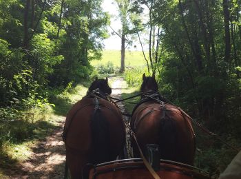 Tocht Huifkarwandeling Baneins - Baneins - Photo