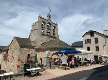 Tour Wandern Chanaleilles - 2021 AUBRAC Étape 4 - Photo