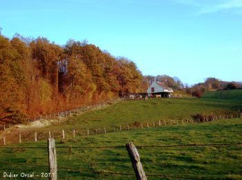 Randonnée Marche Val-au-Perche - Le Theil-sur-Huisne (Val-au-Perche)-Saint-Germain-de-la-Coudre - 7,4 Km - Photo