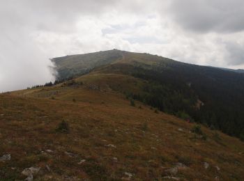 Tocht Te voet Hüttenberg - Geierkogelrunde - Photo