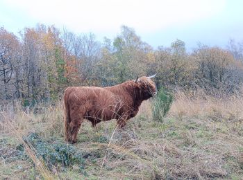 Tocht Stappen Luik - entre ourthe et lande (privatisée) - Photo