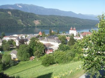 Randonnée A pied Millstatt am See - 33-Millstatt Zwergensee Obermillstatt - Photo