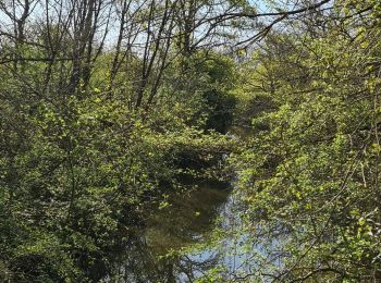 Tocht Stappen Rosnay - Parc naturel régional de la Brenne à ROSNAY - Photo