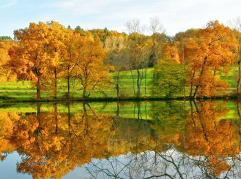 Excursión Senderismo Montmorin - Montmorin_Etang_Maures - Photo