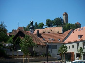 Tour Zu Fuß Neuhaus a.d.Pegnitz - Neuhaus-Rundwanderweg No.12 - Photo