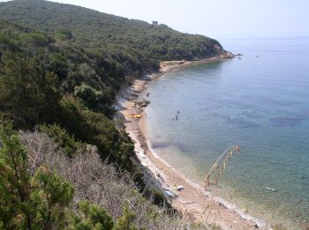 Tocht Te voet Magliano in Toscana - C1 Salto del Cervo - Photo