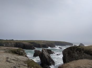 Trail Walking Quiberon - Quiberon jardin ancien sémaphore cote sauvage - Photo