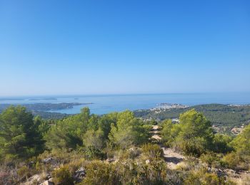 Tocht Stappen Le Castellet - Traversée du Gros Cerveau - forteresses et grotte - Photo