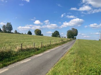 Trail Hybrid bike Beauraing - Pussemange fin - Photo