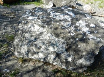 Excursión A pie Ceranesi - Colla di Praglia - Passo della Bocchetta - Photo