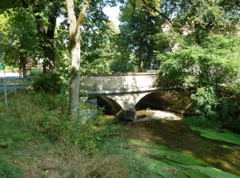 Percorso A piedi Deißlingen - SAV rote Gabel Wildenstein - Maienbühl Dauchingen Schwenningen - Photo