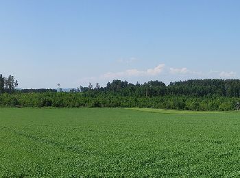 Tocht Te voet Empfingen - Äußerer Querweg - Horb am Neckar - Weg-4 - Weiherhof - Dettensee - Photo