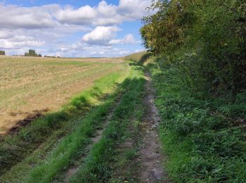 Randonnée Marche Sombreffe - Boignée Tongrinne - Photo