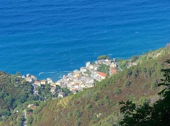 Percorso A piedi Riomaggiore - Riomaggiore – Sella La Croce – Carpena – La Foce - Photo