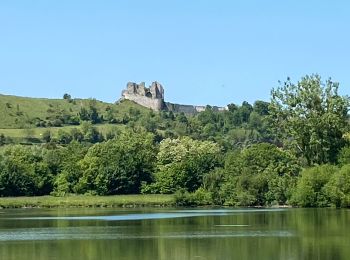 Randonnée Vélo de route Martigny - Dieppe - Photo