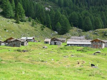 Excursión A pie Chiesa in Valmalenco - Sentiero accesso RIFUGIO ANTONIO ED ELIA LONGONI - Photo