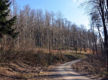 Excursión A pie Gemeinde Gablitz - Gablitz - Hochramalpe - Troppberg - Photo