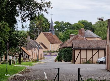 Tocht Noords wandelen Conflans-sur-Loing - Conflans sur loing - Photo