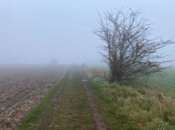 Percorso Marcia Soignies - Thieusie 19,7 km - Photo