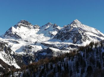 Trail On foot Ayas - Ru Courtod - Photo