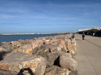 Excursión Senderismo Le Grau-du-Roi - Le Grau du Roi Port Camargue  - Photo