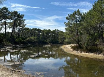 Trail sport Lège-Cap-Ferret - Réserve naturelle de piraillan - Photo