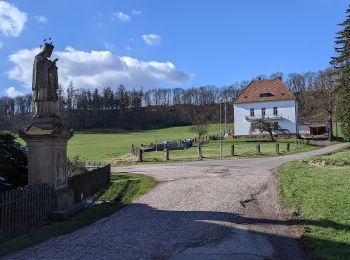 Percorso A piedi Kovač - [Z] Levínská Olešnice - Kovač - Photo