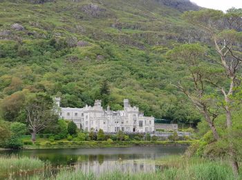 Tocht Auto Conamara Municipal District - 190706Connemara - Photo