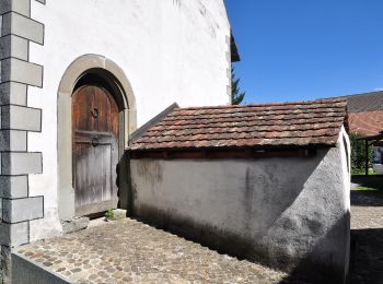 Percorso A piedi Regensdorf - Watt - Bösbuck - Photo