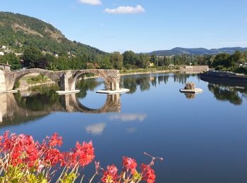 Excursión Bici eléctrica Brives-Charensac - voie verte.  a la découverte des alentours du puy en Velay  - Photo