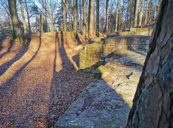 Trail On foot Hösbach - Blauer Pilz, Rundwanderweg Rottenberg - Photo