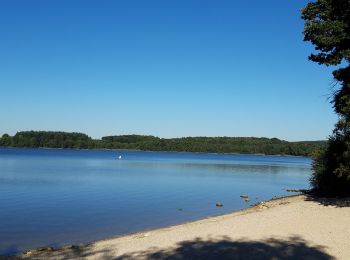 Randonnée Marche Moux-en-Morvan - Lac des Settons - Photo